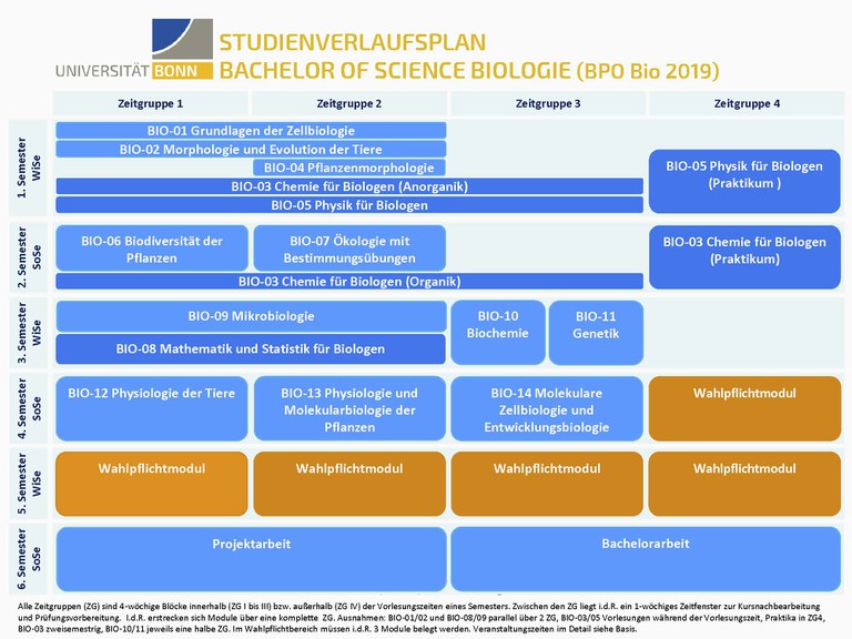 BScBiologie_Studienverlaufsplaene 2020 _Seite_01.jpg